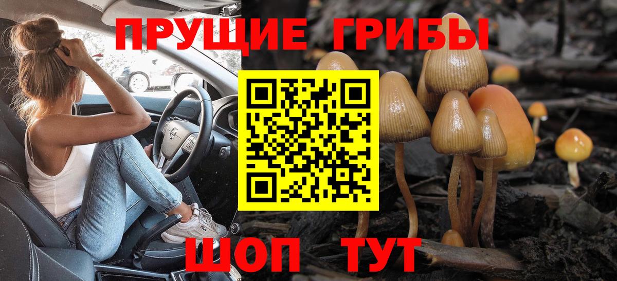 Краснокаменск  Псилоцибиновые грибы прущие грибы  Псилоцибиновые грибы GOLDEN TEACHER  Вход с VPN 