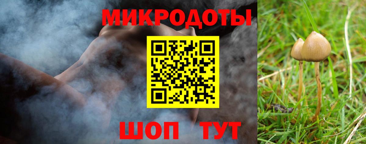 Лсд 25 Краснокаменск
